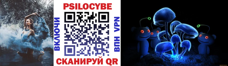 Галлюциногенные грибы Psilocybe  Казань 